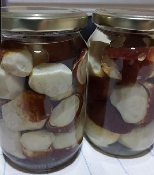 Ukiseljeni vrganj - tegla 